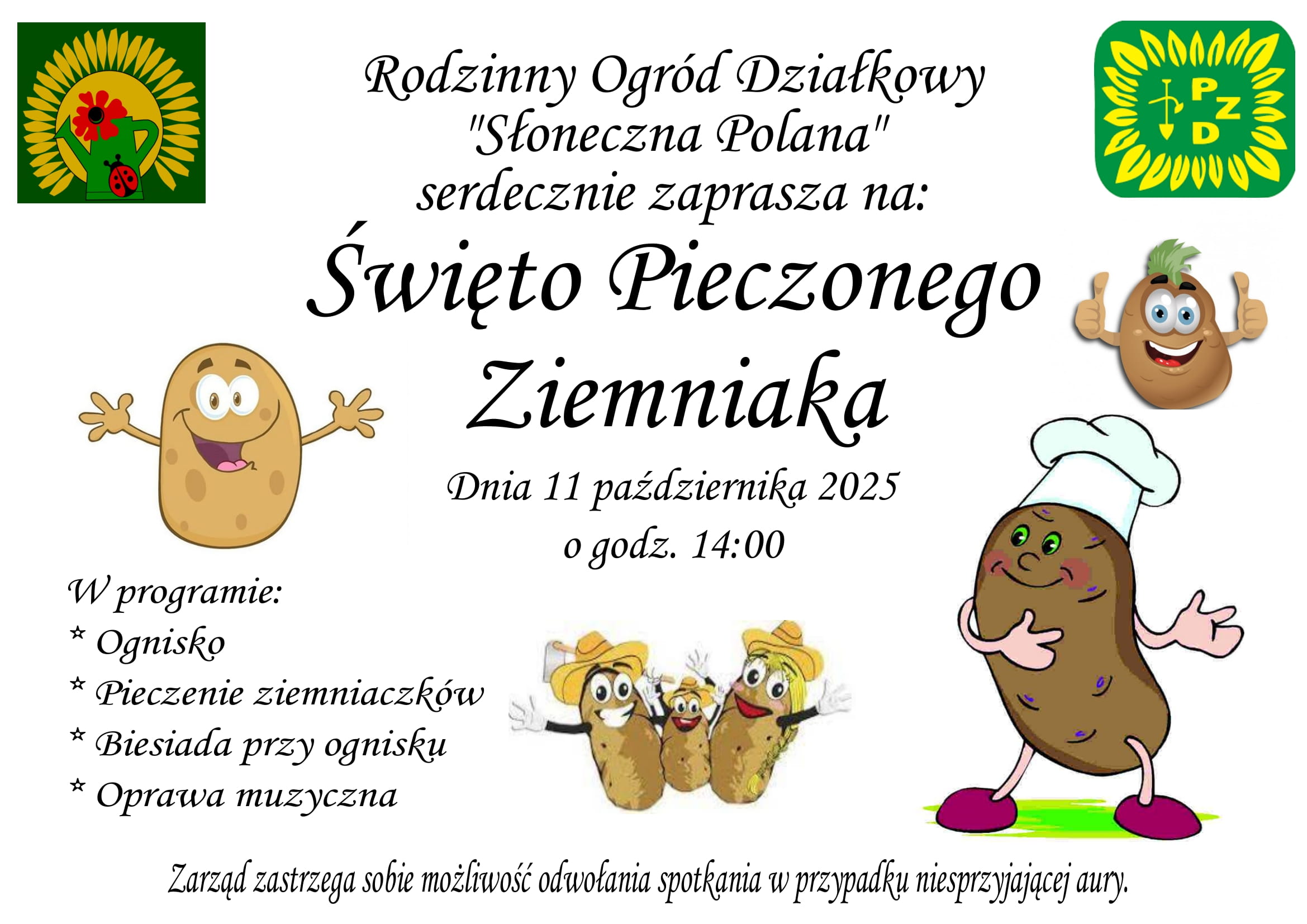 ziemniak 2025 1