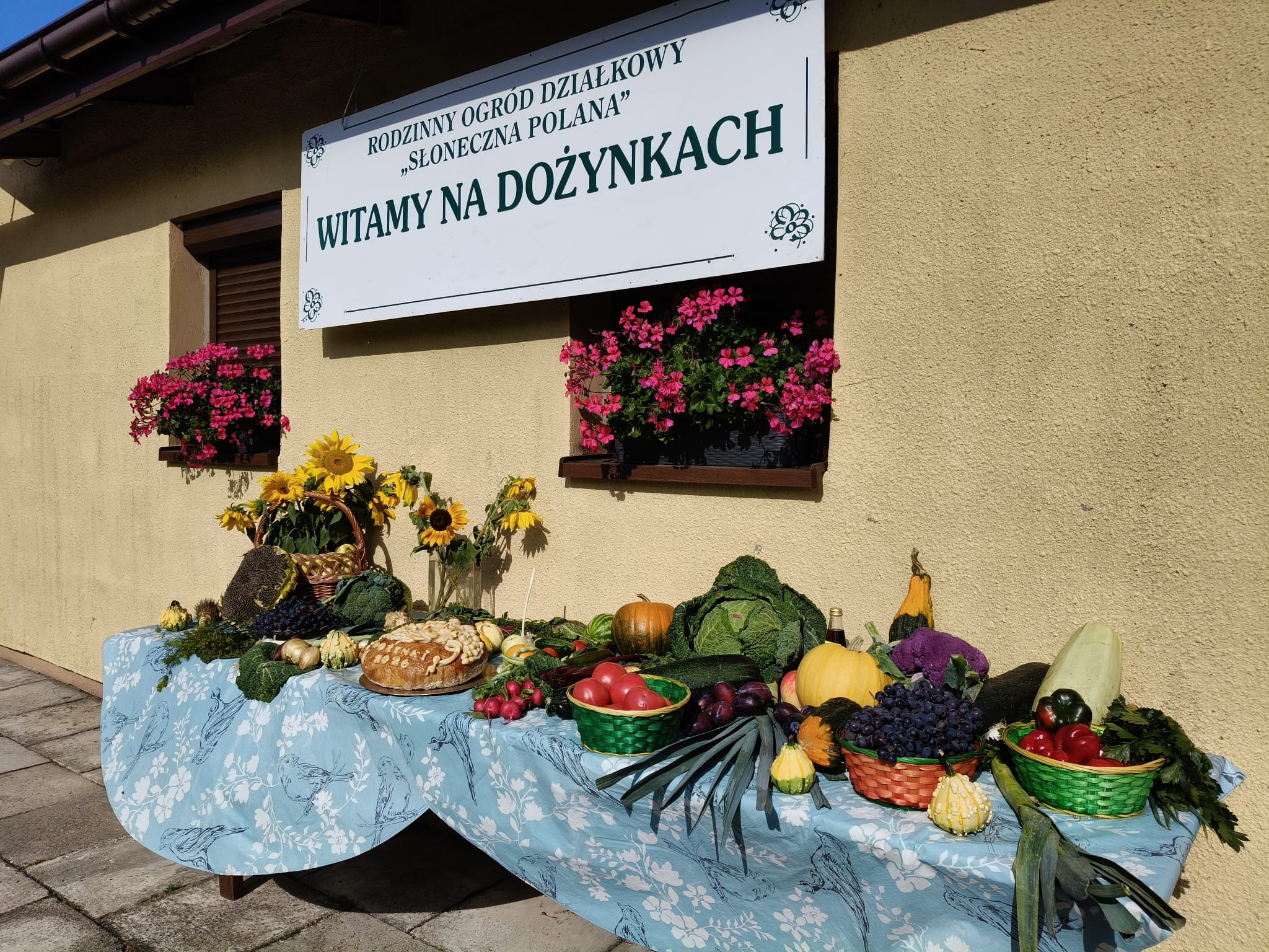WhatsApp Image 2026 08 30 at 13.48.31